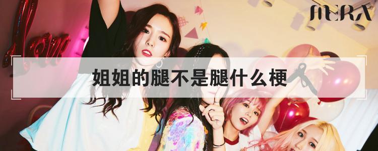 姐姐的腿不是腿什么梗