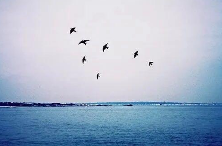 七月的风八月的雨表达什么