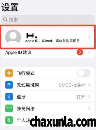 iPhone14怎么开启自动验证功能