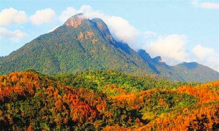 五指山在哪里
