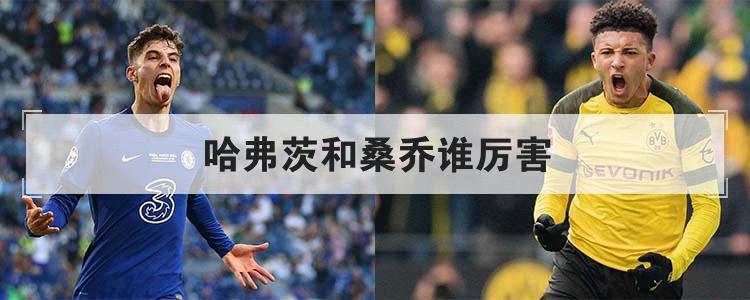 哈弗茨和桑乔谁厉害