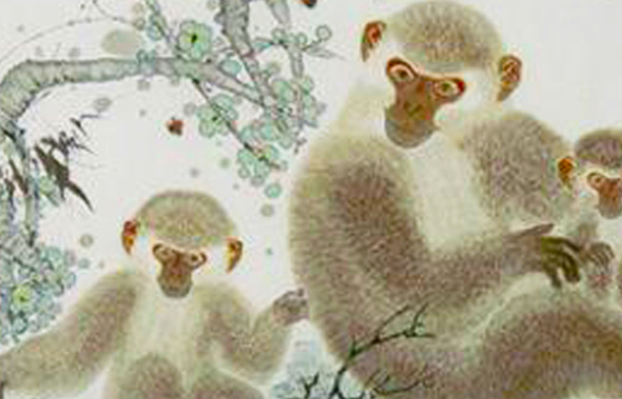 绿水青山指哪个生肖