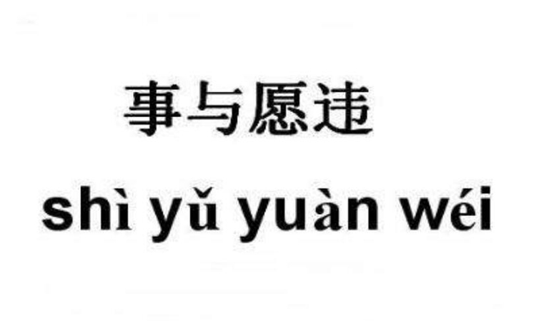 事与愿违什么意思