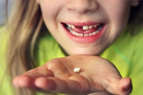 小孩子为什么要掉牙