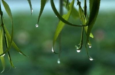 梅雨季节的由来