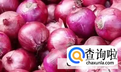 洋葱的功效与作用禁忌