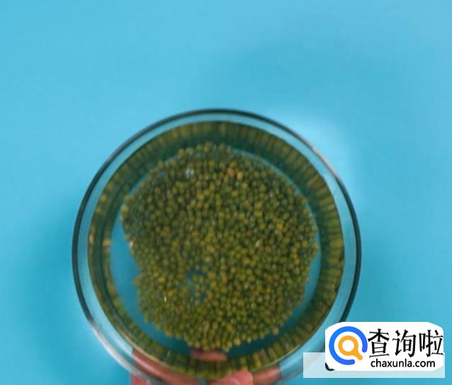 如何煮绿豆汤？