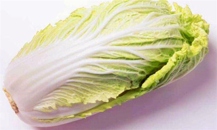 白菜会氧化吗