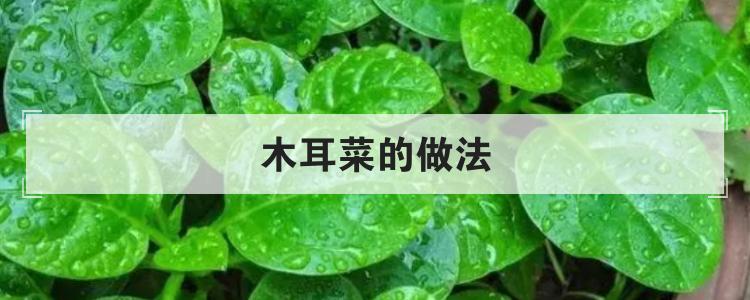 木耳菜的做法br