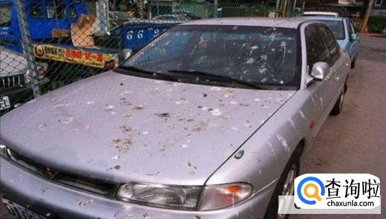 车身树脂斑点怎么去除