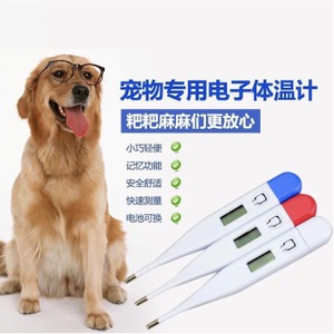 哈士奇怎么养