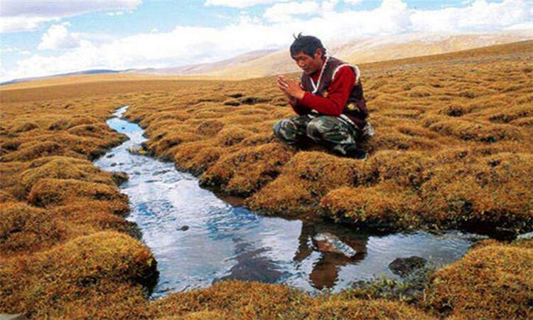 黄河源头是哪里