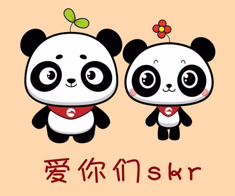 skr是什么意思