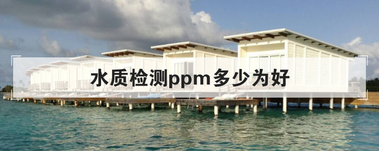 水质检测ppm多少为好