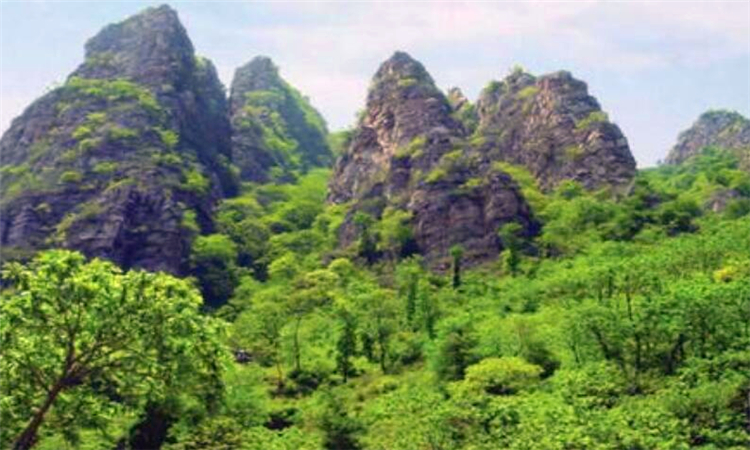 五指山在哪里