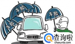 全车保险多少钱 全车险包括什么