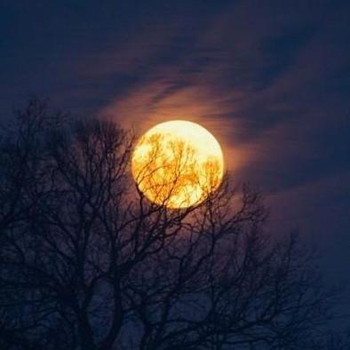 月是故乡明上一句是什么