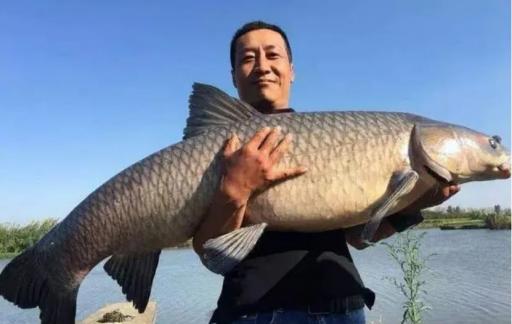钓鱼什么意思