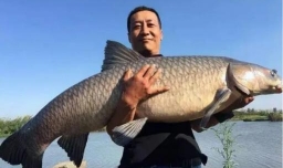 钓鱼什么意思
