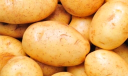 potato什么意思
