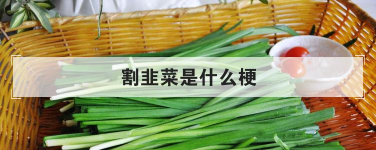 割韭菜是什么梗