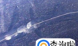 如何去除汽车划痕