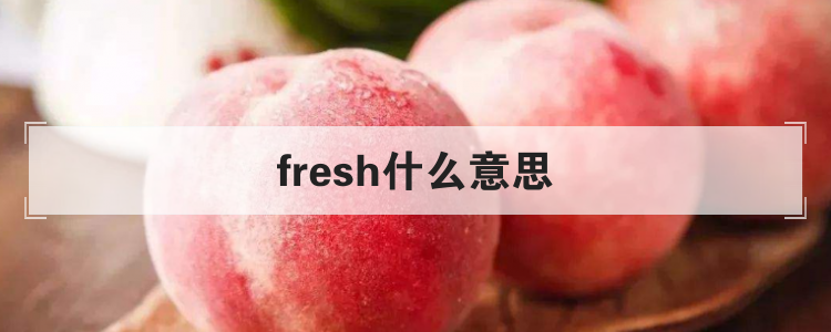fresh什么意思
