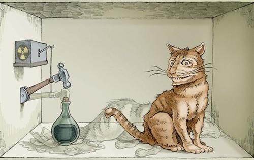 薛定谔的猫什么意思
