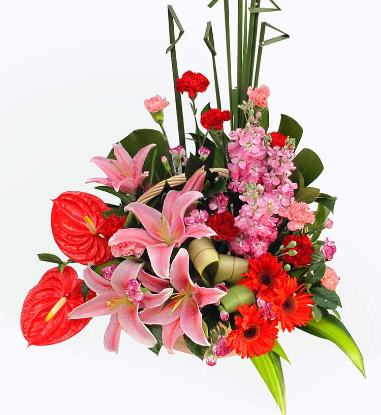 领导过生日能送花吗?送什么花好?