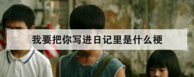 我要把你写进日记里是什么梗