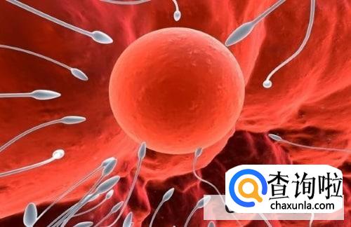 月经刚过会怀孕吗?