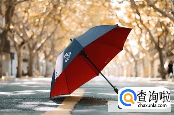 雨伞去污有诀窍