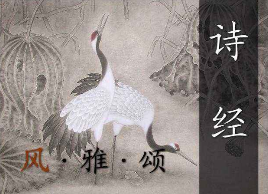 五经指的是