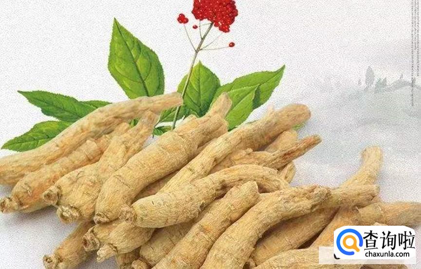 西洋参对身体有什么好处