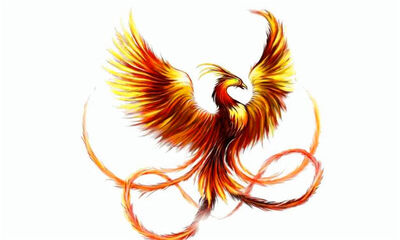 世界上有没有凤凰存在