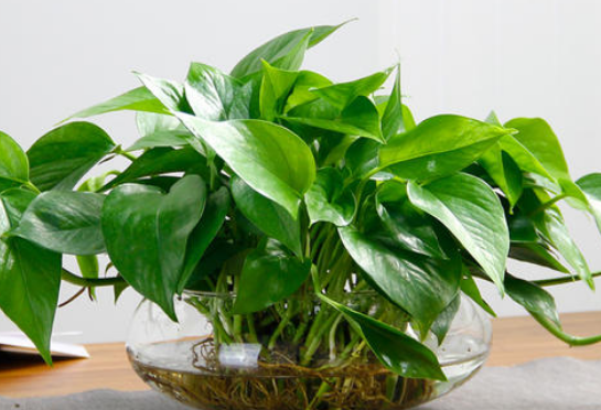 空气干燥怎么加湿