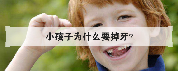 小孩子为什么要掉牙