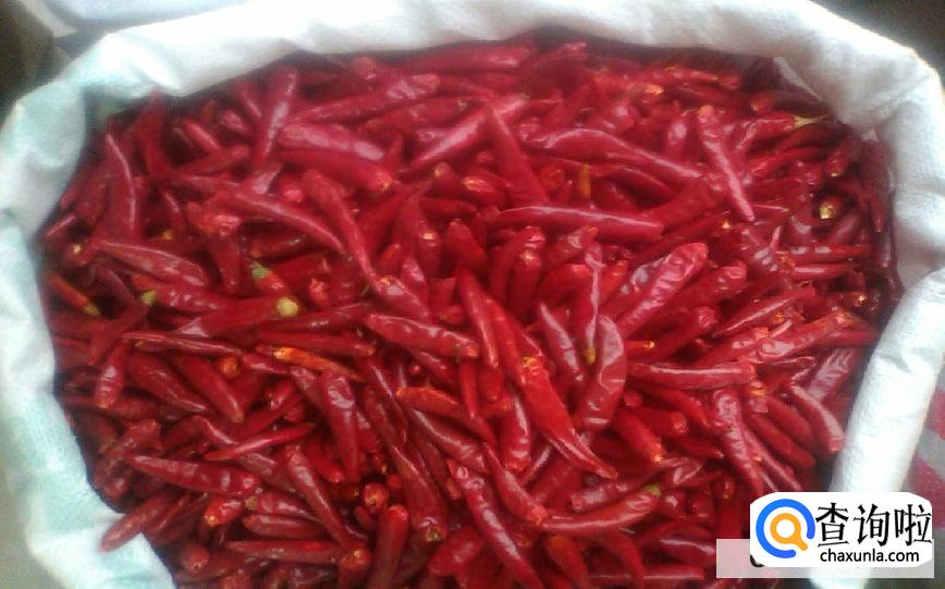 教你腌制火烧小米辣