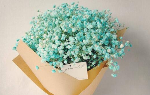 满天星的花语是什么