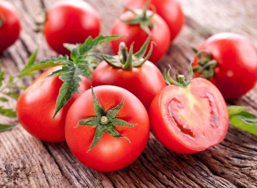 tomato是什么意思