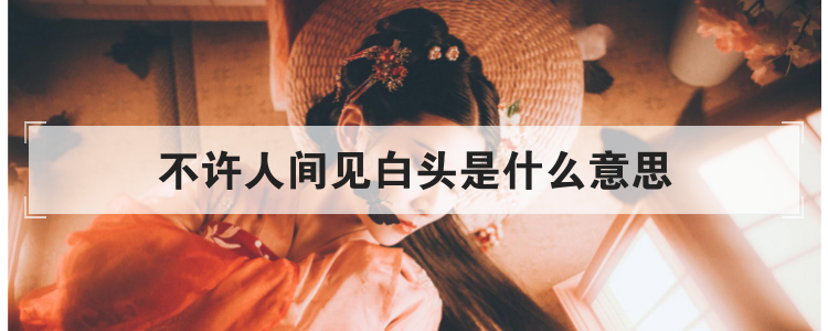 不许人间见白头是什么意思