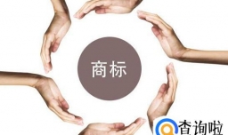 庆阳商标注册流程有哪些