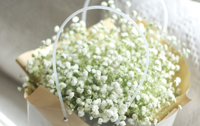 满天星的花语是什么