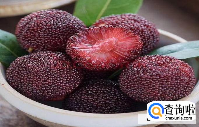 杨梅怎么看是新鲜的