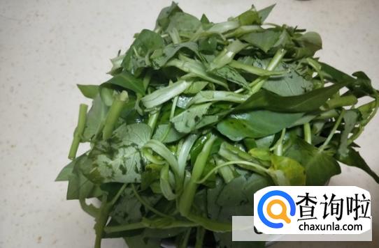 空心菜怎么炒