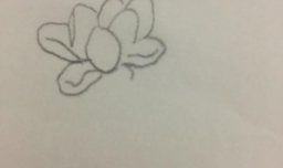 荷花池简笔画