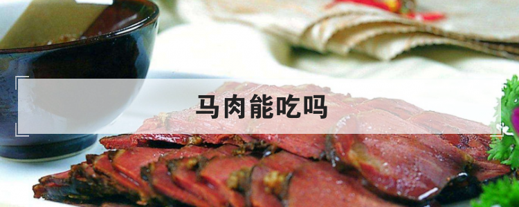 马肉能吃吗