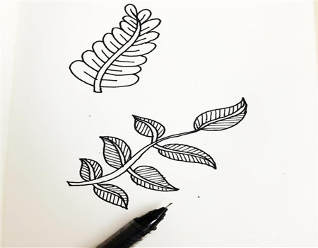 树叶简笔画