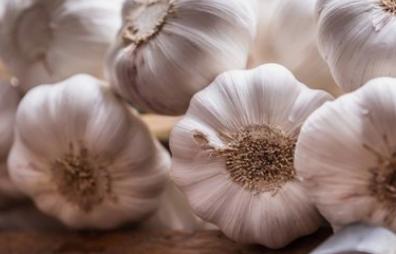 口臭的原因和治疗方法