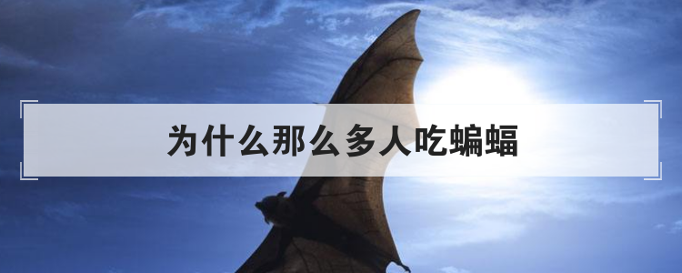 为什么那么多人吃蝙蝠